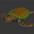 Realistic Colorful Sea Turtle With Vibrant Orange Green Shell And Spotted Flippers