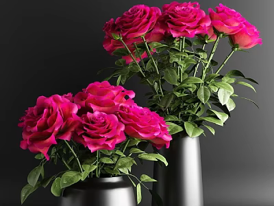 Beautiful Pink Roses in Black Vases with Fresh Green Leaves for Elegant Home Decor 3d model