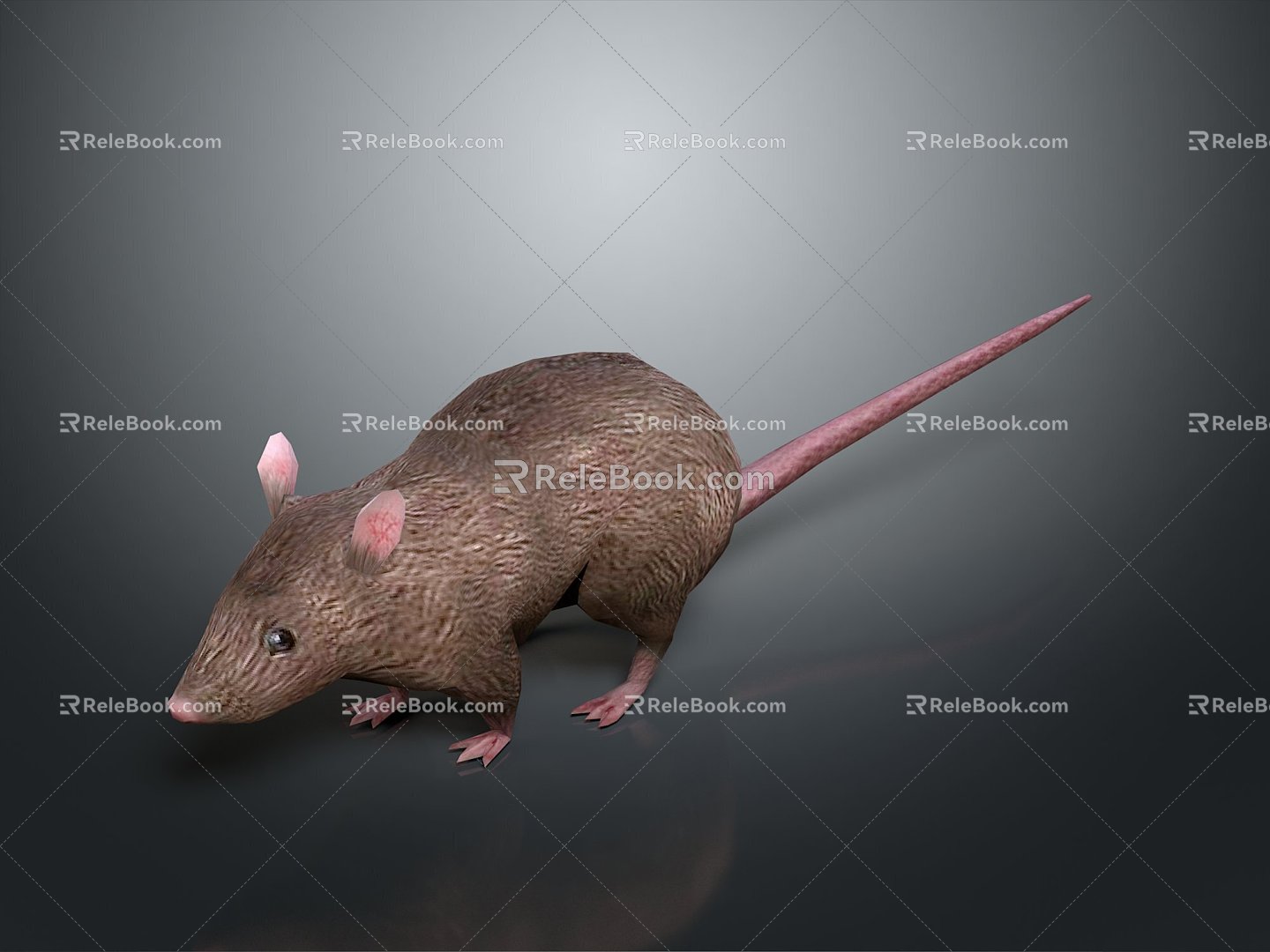 Mouse Wizard Mouse Warlock Cartoon Mouse Animation Mouse Animation Mouse Cartoon Character Cartoon Animal 3d model