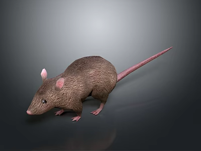 Brown Fur Pink Ears Long Tail Mouse Game Movie Character on Gray Background Reflection 3d model