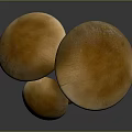 Natural Brown Mushrooms In Various Sizes With Round Caps And Long Stems