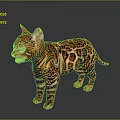 Elegant Bengal Cat With Brown and Black Spotted Coat Standing on Grey Background With Reflection