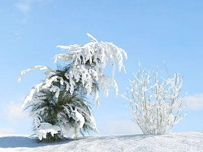 Snow Covered Shrubs in Winter Landscape with Clear Blue Sky and Snowy Ground 3d model