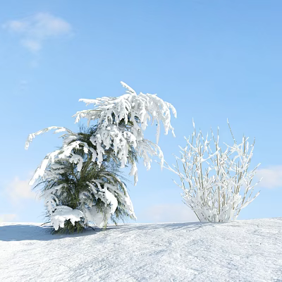 Snow Covered Shrubs in Winter Landscape with Clear Blue Sky and Snowy Ground 3d model