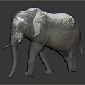 3D Rendered Elephant With Metallic Texture Walking In Gray Background And Ground Reflection