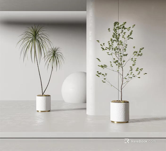 Modern Minimalist Potted Plants With White Ceramic Pots And Green Foliage 3d model 