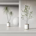 Modern Minimalist Potted Plants With White Ceramic Pots And Green Foliage