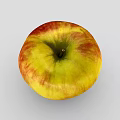 Fresh Ripe Yellow and Red Striped Apple with Smooth Skin on Grey Background