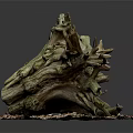 Lush Green Plants Growing On Weathered Driftwood With Natural Gravel Base