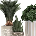 Modern Garden Decor Elements With Geometric Patterned Planters And Assorted Green Foliage Plants