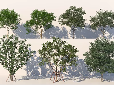 Tree-arbor combination 3d model