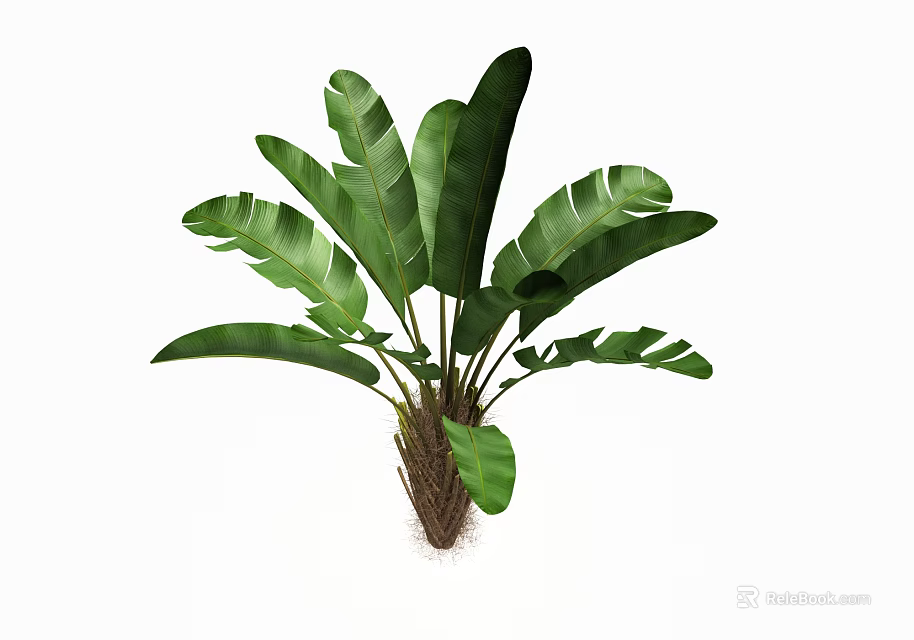 Tropical Green Plant Vase Arrangement With Large Leaves And Brown Stems 3d model 