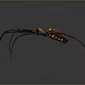 Golden Spider With Long Legs And Red Markings Close Up View
