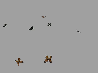 Several Flying Animals Including Butterflies And Insects Flying On Grey Background 3d model