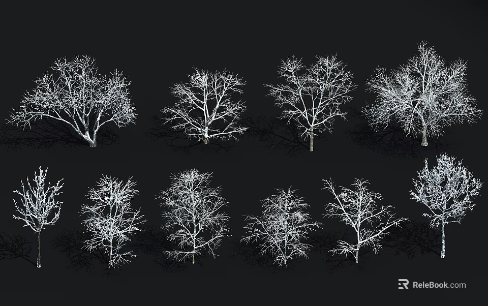 Bare Branch Arbor Collection With Various Shapes In 3D Rendering On Black Background 3d model 