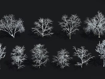 Bare Branch Arbor Collection With Various Shapes In 3D Rendering On Black Background 3d model