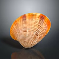 Orange and Brown Striped Clam Shell on Black Background with Reflection 3d model