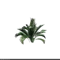 Vibrant Tropical Arbor Featuring Lush Green Fronds And Dense Foliage