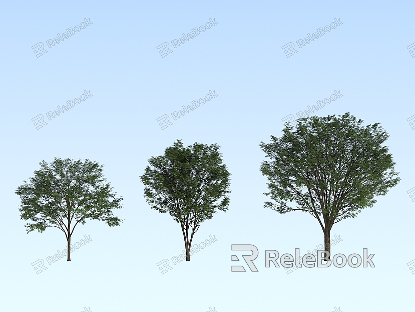 Modern Tree Beech Tree model