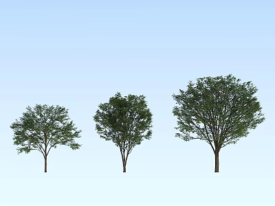 Three Different Sizes Arbor Trees With Lush Green Foliage In Landscape 3d model