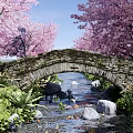 Scenic Stone Bridge Over Stream With Pink Cherry Blossom Trees Rocks Fish and Green Plants