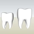 Two Detailed White Dental Tooth Models Isolated On Black Background