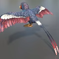 Alex Colorful Bird Ancient God Animal God Bird Parrot Wonder Bird Fantasy Bird Low Face Number Low Model Simple Model Game Movie Level Super Realistic 3d model