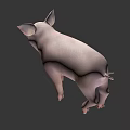 Cute Pink Pig 3D Model as Game Movie Character in Rendered Scene