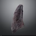 Purple Pink Dinosaur Fossil Bone Exhibiting Cracked Surface Texture Details
