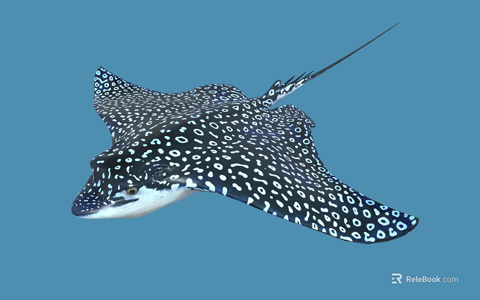 Stunning Aquatic Animal Ray with Black and White Spotted Body and Wings in Blue Background 3d model 