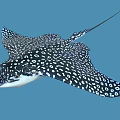 Stunning Aquatic Animal Ray with Black and White Spotted Body and Wings in Blue Background