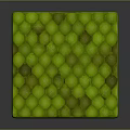 Organ And Hair Inspired Green Scaled Cube With Detailed Textured Surface Design