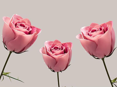 Three Beautiful Pink Roses With Fresh Green Stems And Vibrant Soft Petals 3d model