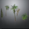 Various Types of Decorative Plants Including Palm Trees and Pine with Green Leaves