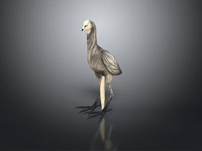 Grey Feathered Flying Animal with Long Legs Standing on Dark Surface with Reflection 3d model