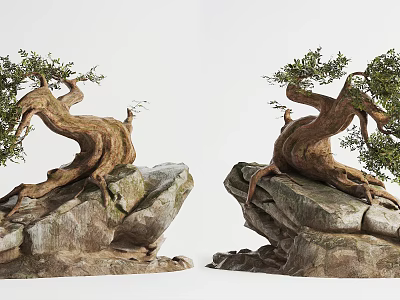 Decorative Arbor With Twisted Trunk Growing On Natural Rock And Green Leaves 3d model