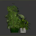Lush Indoor Potted Plants With Various Green Leaves In Green And White Decorative Pots