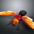 Realistic Wasp With Orange Wings Red Body And Black Abdomen Detailed Closeup