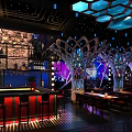 Modern Bar Interior Design With Colorful Lighting Tree Shaped Decorations Counter And Seating