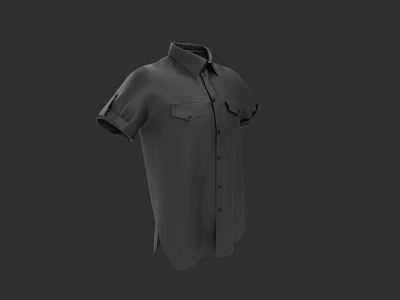 Short Sleeve Collared Shirt With Button Front Design And Chest Pockets 3d model