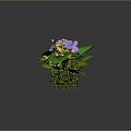 Colorful Plant Bouquet With Purple Pink Yellow Flowers And Green Leaves