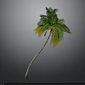 Tropical Palm Tree With Curved Trunk Green Leaves And Yellow Edges