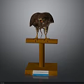 Stuffed Eagle Taxidermy Display On Wooden Stand With Information Label