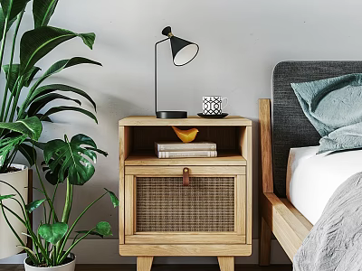 Wooden Bedside Table With Wicker Door Table Lamp Books And Green Plant Next To Bed 3d model