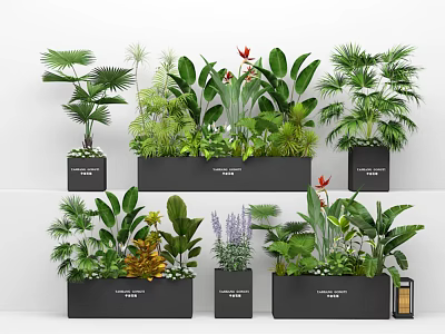 Black Rectangular Planters With Various Green Plants Flowers Palm Leaves Red Blooms And Lavender 3d model