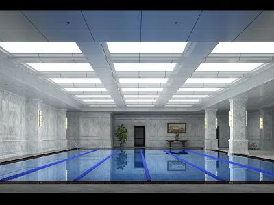 Elegant Indoor Swimming Pool With Blue Lanes Marble Walls Ceiling Lighting And Decorative Plants 3d model