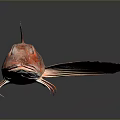 Vibrant Red Sea Fish With Distinctive Blue Fins And Sharp Facial Features On Dark Background