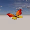Vibrant Orange And Yellow Winged Butterfly A Colorful Flying Insect With Bright Wings