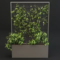 Stylish Garden Decor With Wire Mesh Panels And Green Plants In Gray Planters