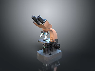 Household Binocular Microscope For Daily Use With Stable Base And Clear Structure 3d model